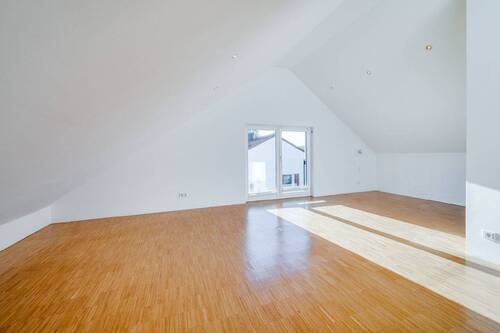 Dachstudio - 