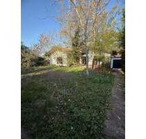 Bungalow mit Sanierungsbedarf in hervorragender Wohnlage - Birkenheide