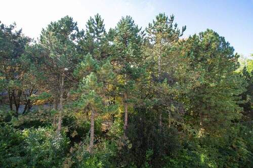 Blick von Loggia - Etagenwohnung mit 65,00 m² in München zum Kaufen