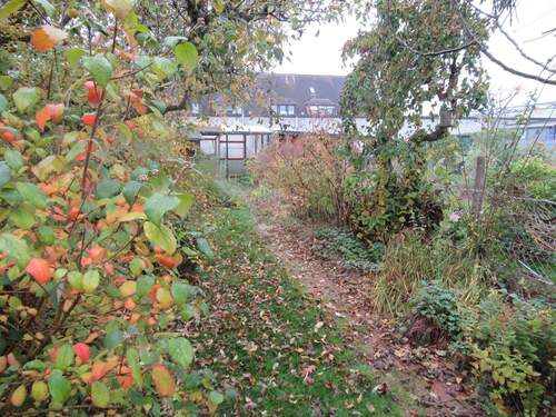 Garten - 6 Zimmer Reihenhaus in Bremen