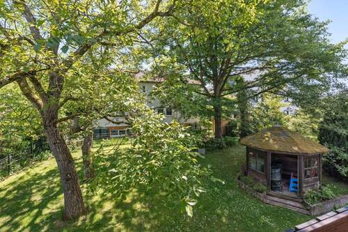 Blick in den Garten - 