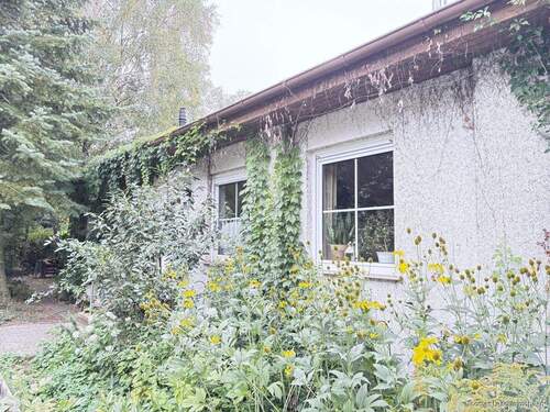 Straßenansicht - 4 Zimmer Bungalow zum Kaufen in Sülzetal / Schwaneberg