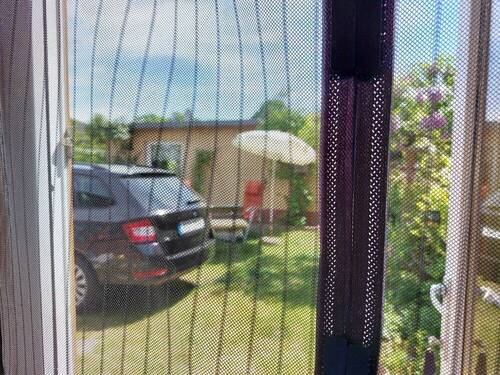 EG Blick auf Gartenhaus - 