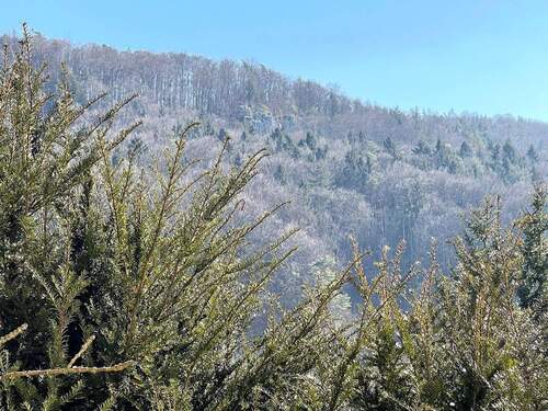 Aussicht vom Haus rechte Seite - 