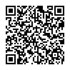 QR-Code - 