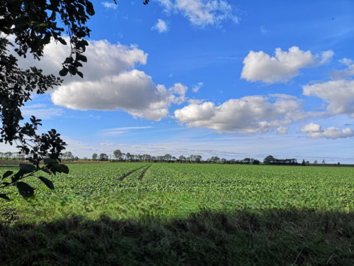 78bc79de-7f85-4eec-93db-baaa1dc3e725 - Großes Baugrundstück mit Entwicklungspotenzial in Norden-Leybuchtpolder