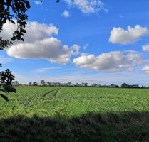 Großes Baugrundstück mit Entwicklungspotenzial in Norden-Leybuchtpolder