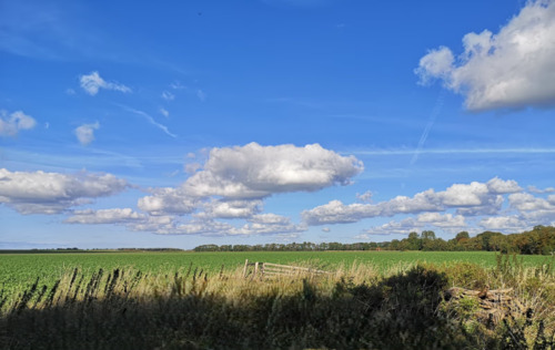 d8d8bf79-c0b7-4e8f-acf0-717205c6606e - Grundstück zum Kaufen in Norden