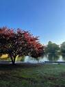 Zoopark - 