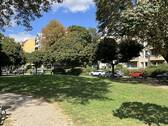 Grünlage - 