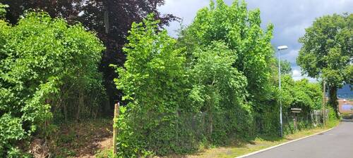 Straßenansicht - Großzügiges Baugrundstück in herrlich ruhiger Lage in der Saalfelder Südstadt zu verkaufen
