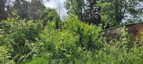 Grundstück - Grundstück zum Kaufen in Saalfeld/Saale