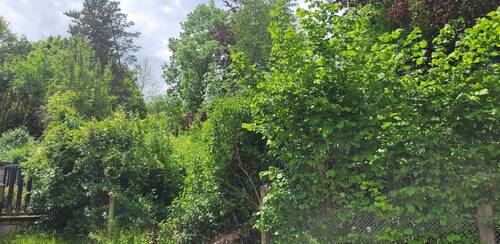 Grundstück - Grundstück in Saalfeld/Saale