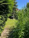 Garten - 3 Zimmer Etagenwohnung zum Kaufen in Königs Wusterhausen