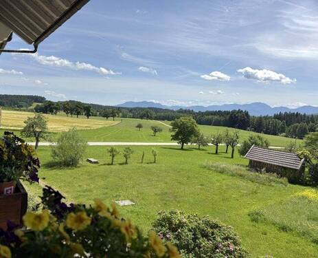 Ausblick - 