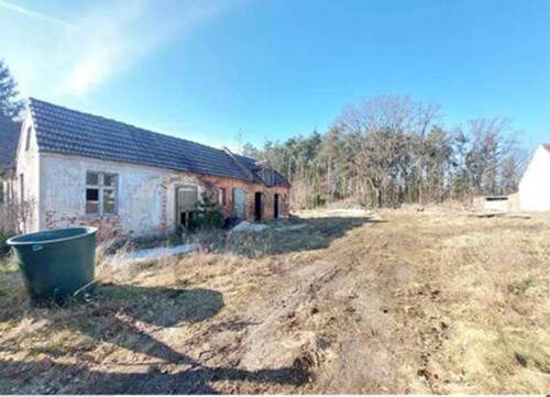 2025-04-10 Glinzig Am Waldrand 1.jpg - ,,Waldgeflüster inklusive - Traumhaftes Grundstück in Kolkwitz OT Glinzig '