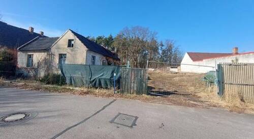 2025-04-10 Glinzig Am Waldrand.jpg - Grundstück zum Kaufen in Kolkwitz