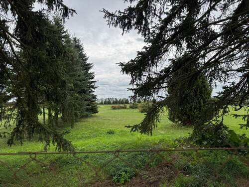 Blick auf Wiesen-und Ackerflächen - 