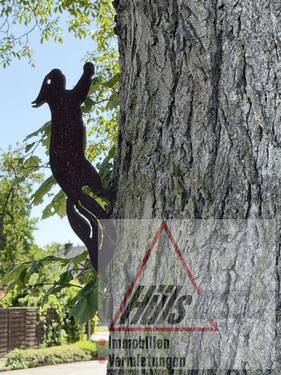 Hofbaum - Charmantes ehemaliges Bauernhaus mit zwei Wohneinheiten, Nebengebäude auf einem großzügigen Eigentumsgrundstück