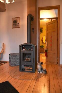 Ofen Wohnung I (Ofen und Katze im Eigentum des Mieters) - 