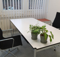 Private Office 1 in Nürnberg FrankenCampus - flexibel, möbliert, sofort verfügbar