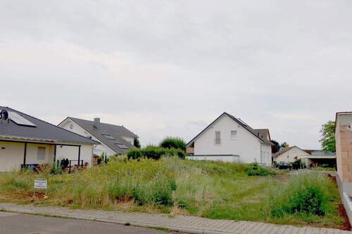 Für Traumhaus mit Süd-Garten - Grundstück zum Kaufen in Haßloch