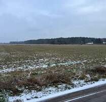 Traumgrundstück in Briesen-Blick ins Grüne