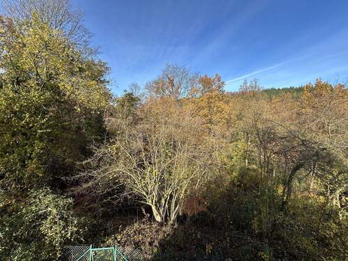 Aussicht - 