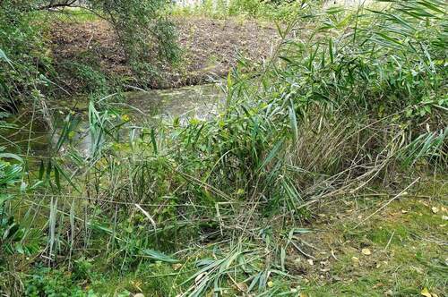Wasserzugang - 