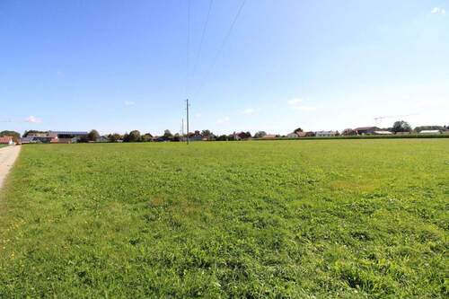 Grünland - Grundstück zum Kaufen in Unteregg