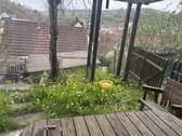 IMG_9014 - 