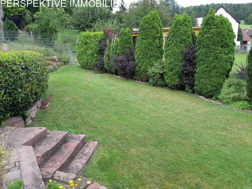 IMG-20260128-WA0001 - 