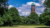 Wassertum in der Jungfernheide - 