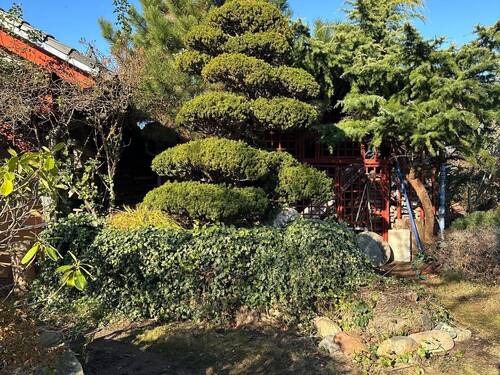 Haus-Grundstück 19.JPG - 