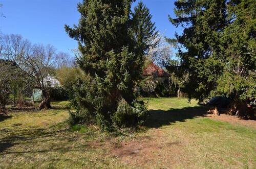 Garten - 