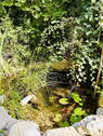 Bild 15 - 