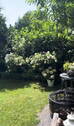 Bild 17 - 