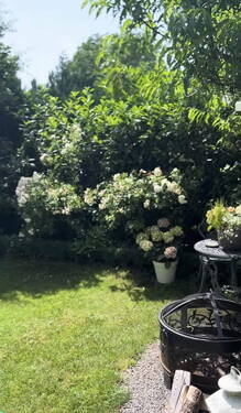 Bild 17 - 