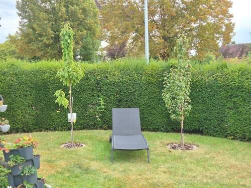 Garten - Etagenwohnung mit 88,40 m&sup2; in Escheburg zum Kaufen