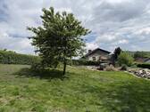 Blick in den Garten - 