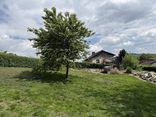Blick in den Garten - 