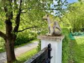 Drachenbeobachter - 