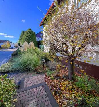 Hochwertig angelegter Eingangsbereich - 