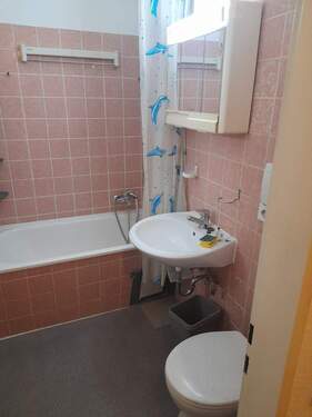 IMG-20260114-WA0011.jpg - 