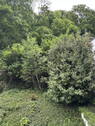 Ausblick vom Balkon - 