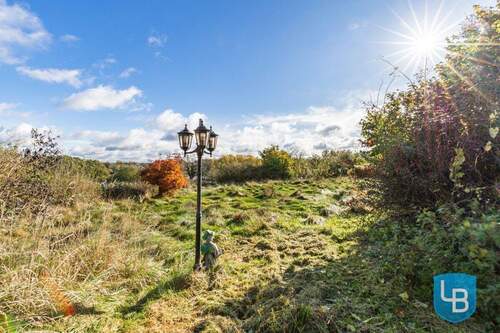 Weitläufiger Garten - 