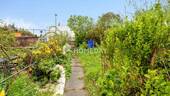 Garten 1 - Reihenmittelhaus mit 74,50 m&sup2; in Königslutter zum Kaufen