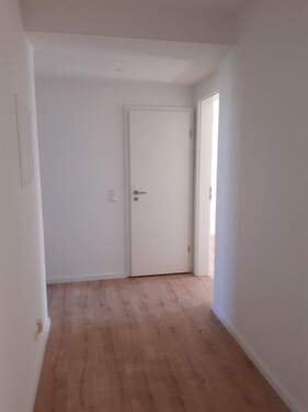 20200806_131307_resized.jpg - 