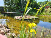 Bild 10 - 