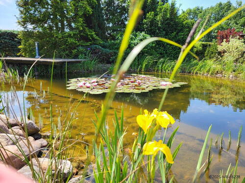 Bild 10 - 